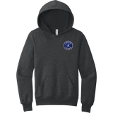 Carolina Thunder Youth Sponge Fleece Pullover Hoodie